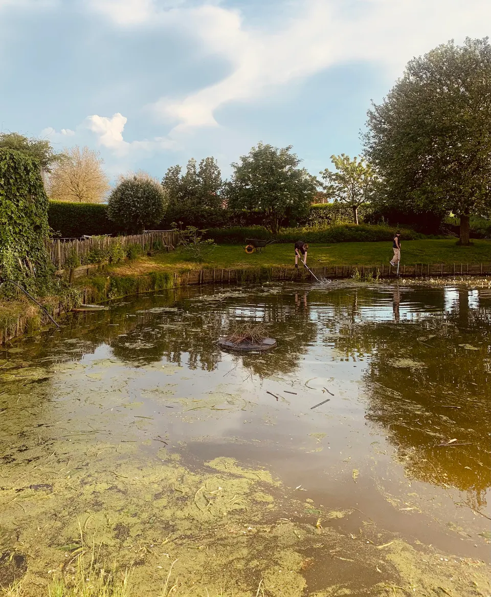 Garden pond surrounded by grass, shrubs and trees, with two people working on the bank