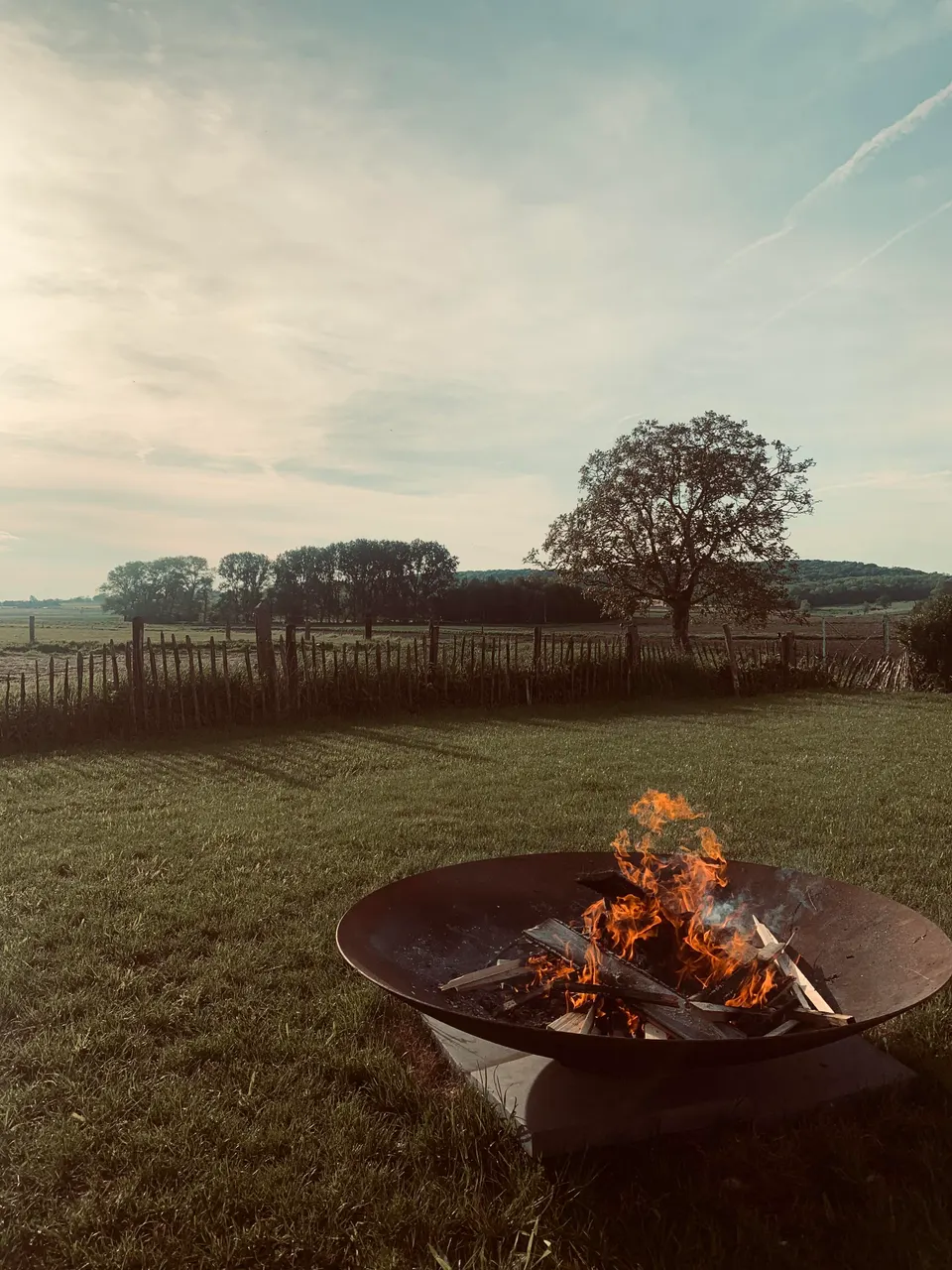 A wood fire in a fire bowl on the grass, with a wooden fence, a tree and fields in the evening light