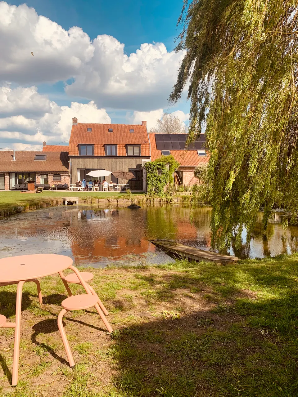 Zicht over de vijver met treurwilg naar de achterkant van het huis, met een roze picknicktafel op het gras
