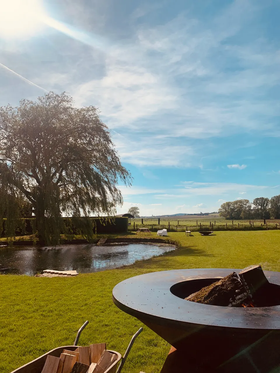 Fire bowl and firewood on the lawn, with the pond, a weeping willow and meadows under a blue sky
